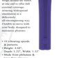 Evolved Full Coverage Bullet Vibrator