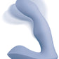 Pulsus Prostate Massager