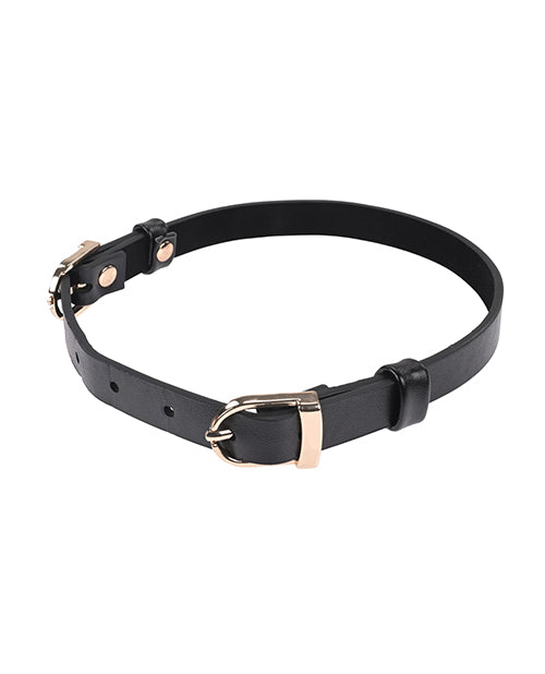 Double Buckle Day Collar