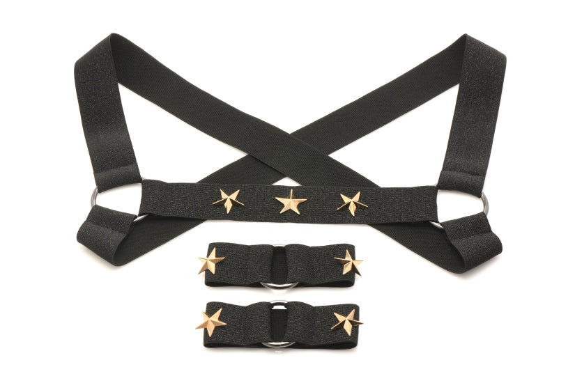 Master Series Elastic Chest Harness w/Arm Bands L/XL