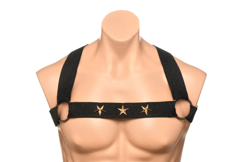 Master Series Elastic Chest Harness w/Arm Bands L/XL