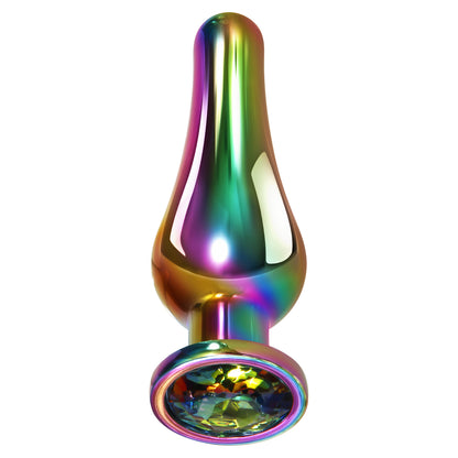 Rainbow Metal Medium Butt Plug