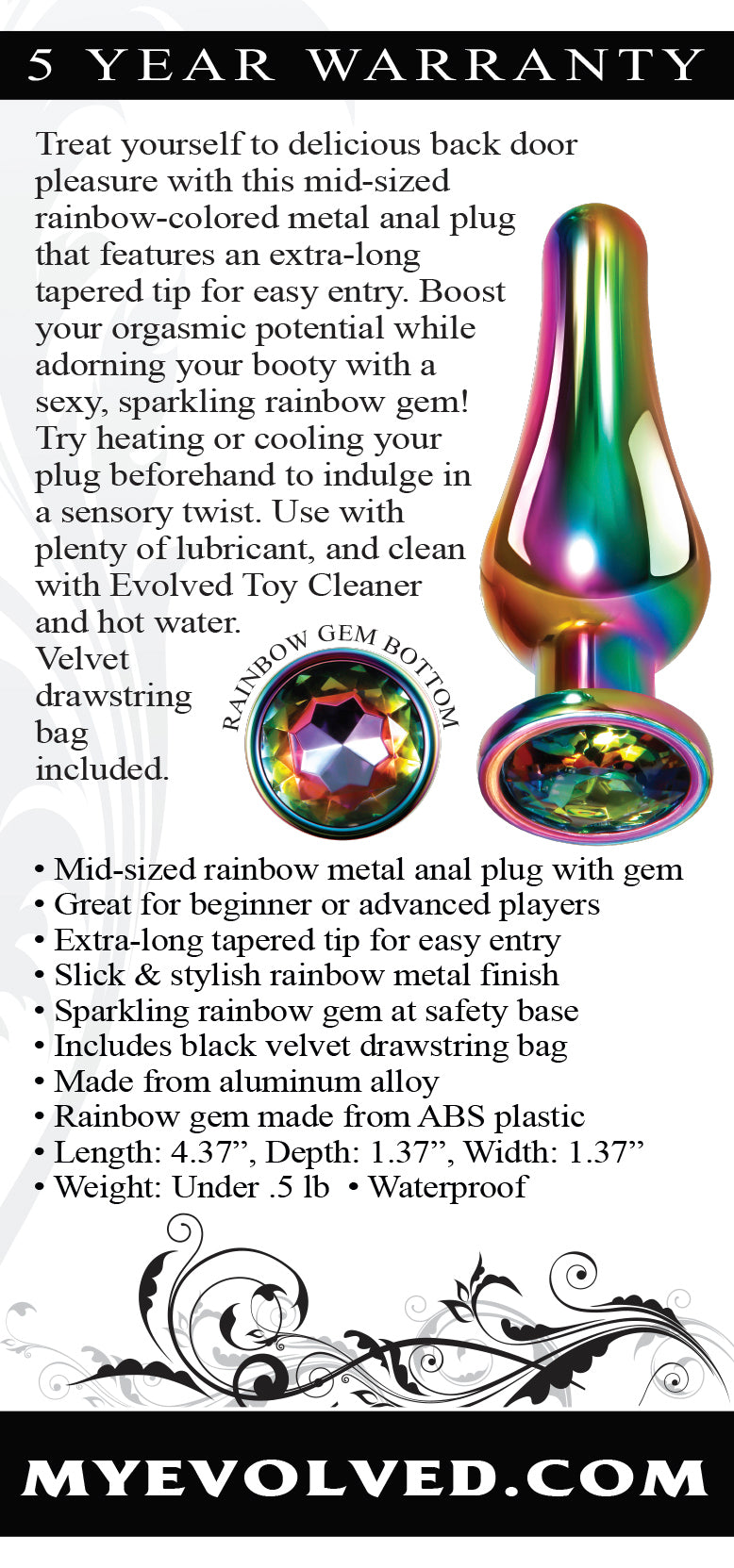 Rainbow Metal Medium Butt Plug