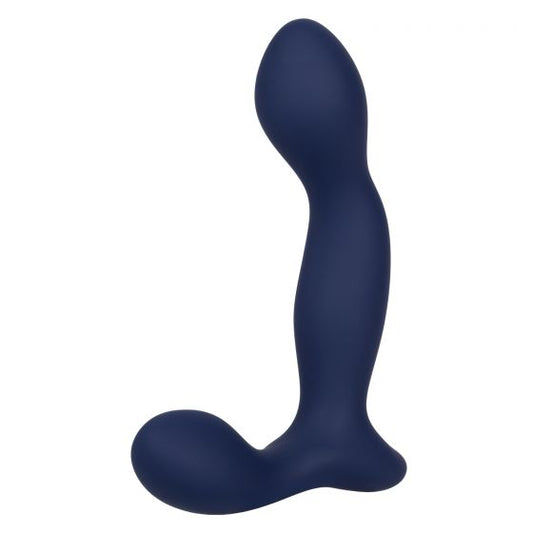 Viceroy Expert Probe Prostate Stimulator