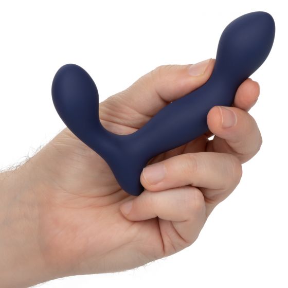 Viceroy Expert Probe Prostate Stimulator